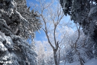 冬の絶景、フップシ岳へ