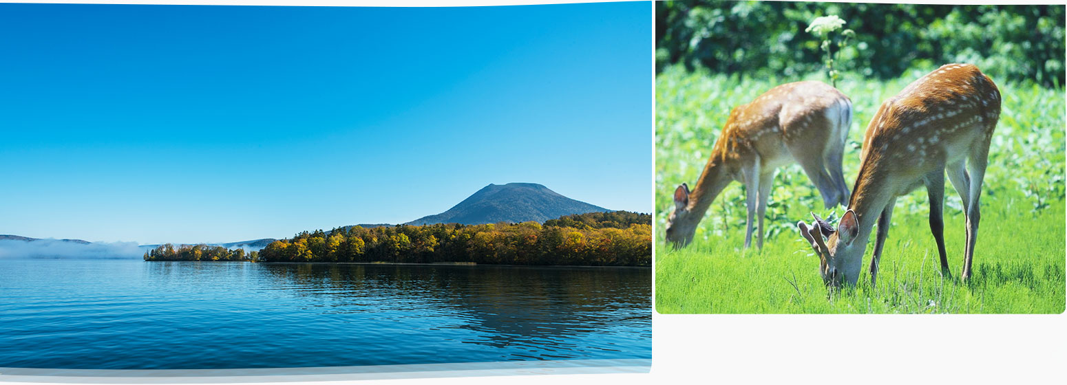 大自然を体感できる周辺スポット